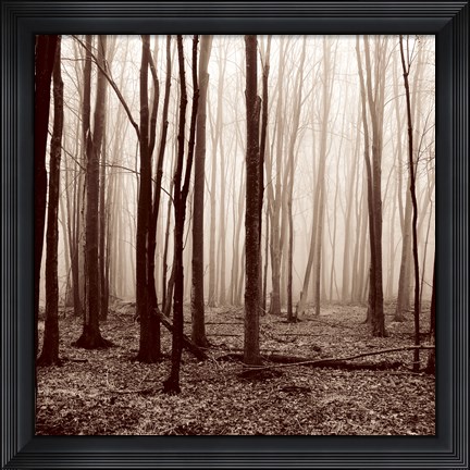 Framed Winter Woods Print