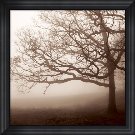 Framed Silence Print