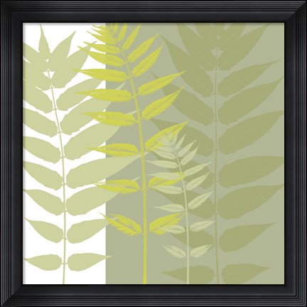 Framed Field Greens Print