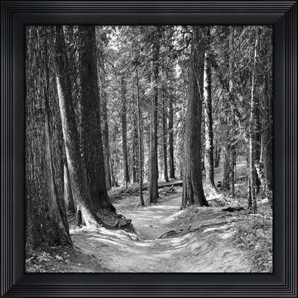 Framed Mountain Hike Print