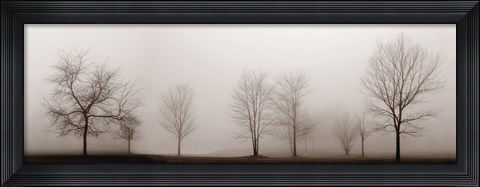 Framed Misty Meadow Print