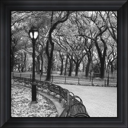 Framed Walk Through the Park Print