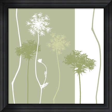 Framed Queen Anne&#39;s Lace Print