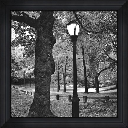 Framed Light in Central Park Print