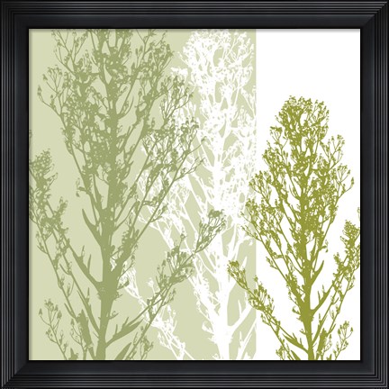 Framed Gossamer Greens Print