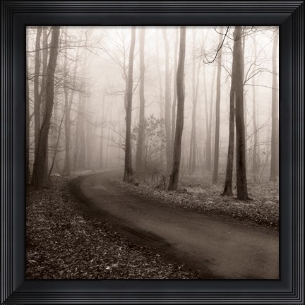 Framed Misty Lane Print