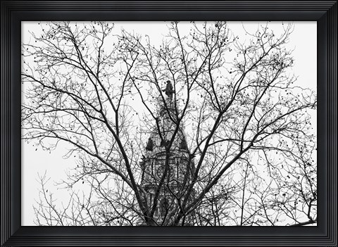 Framed City Hall (Branches) Print