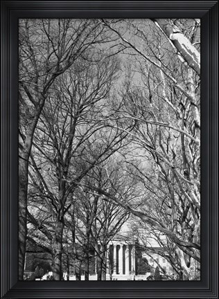 Framed Philadelphia Museum (Trees) Print