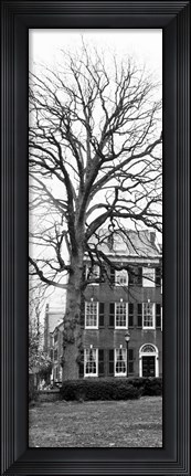 Framed Tree with House Print