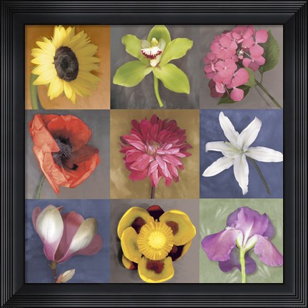 Framed Flower Nine Print