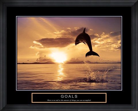 Framed Goals - Dolphins Print