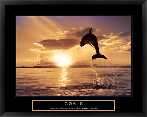 Framed Goals - Dolphins Print