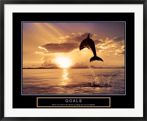 Framed Goals - Dolphins Print