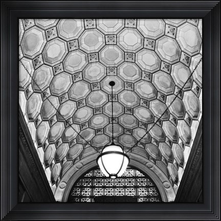 Framed Ceiling Detail Print