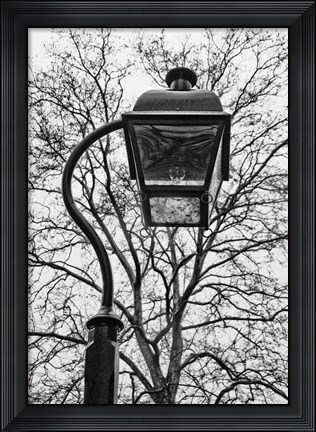 Framed Lamp and branches Print