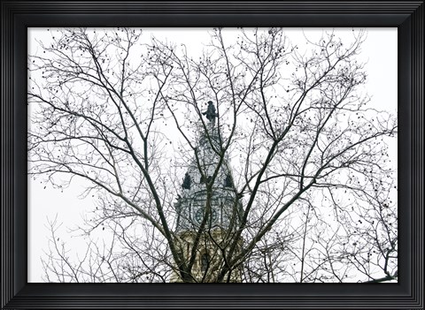Framed City Hall (branches) (Color) Print