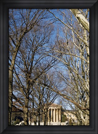 Framed Philadelphia Museum (Trees -Color) Print