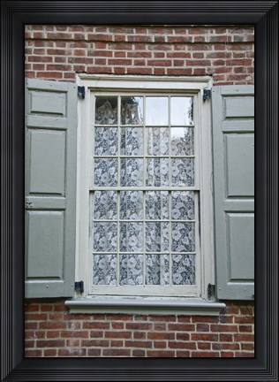 Framed Lace Curtain (Color) Print