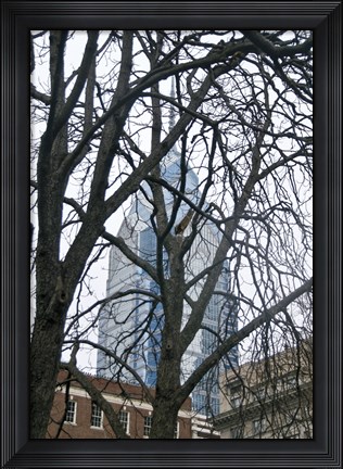 Framed Branch Curtain (Color) Print