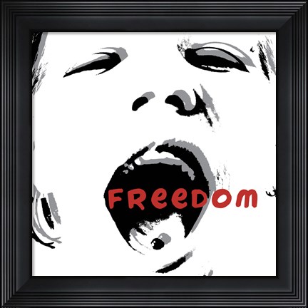 Framed Freedom Print