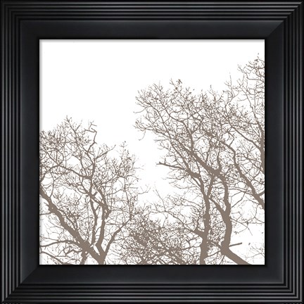 Framed Majesty I Print