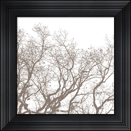 Framed Majesty II Print
