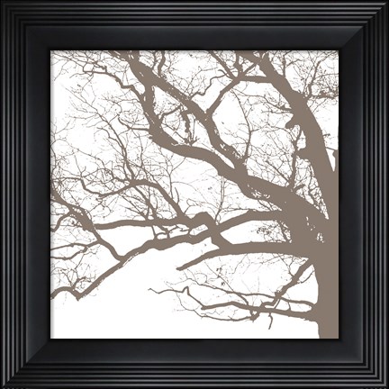 Framed Majesty III Print
