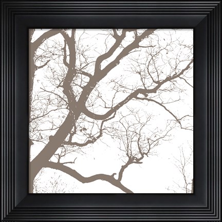 Framed Majesty IV Print