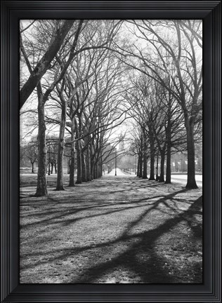Framed Branch Shadows (b/w) Print