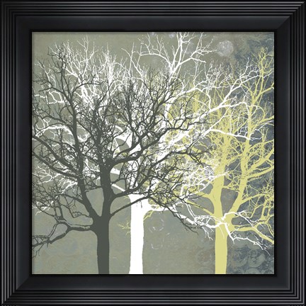 Framed Tranquil Forest Print