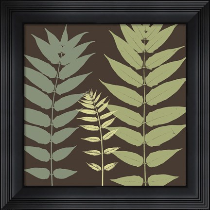 Framed Field Botanical Print