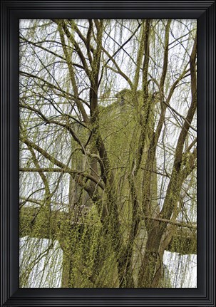 Framed Veiled Brooklyn Bridge Print