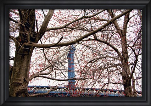 Framed Red Blooms in Brooklyn Print