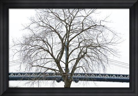 Framed Manhattan Bridge Span with Tree Print