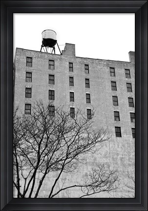 Framed Twenty-six Windows (b/w) Print