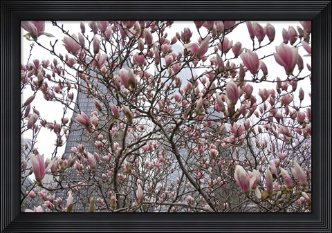 Framed Springtime in New York Print