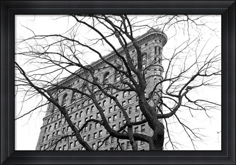 Framed Flatiron with Tree (b/w) Print