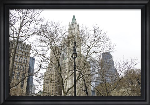 Framed Woolworth Building from City Hall Park Print