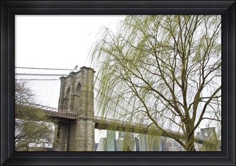 Framed Brooklyn Bridge and Willow Print