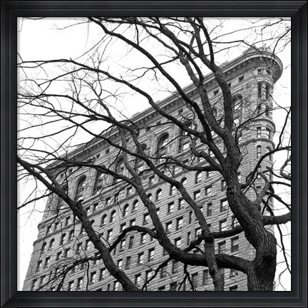 Framed Flatiron with Tree (b/w) (detail) Print