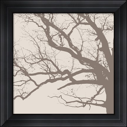 Framed Majesty III  (beige) Print
