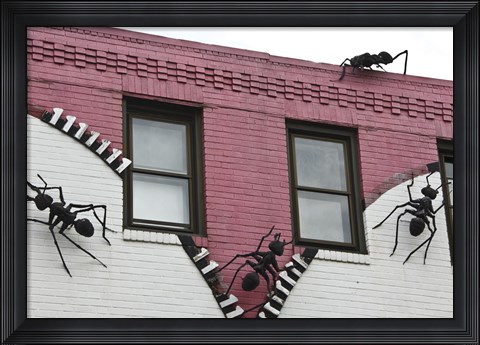 Framed Ants Print