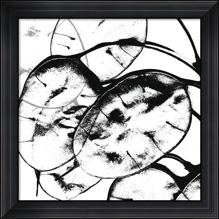 Framed Silver Dollars II Print