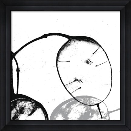 Framed Silver Dollars III Print