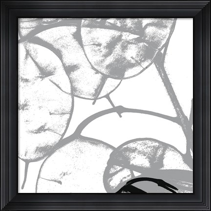Framed Silver Dollars IV Print