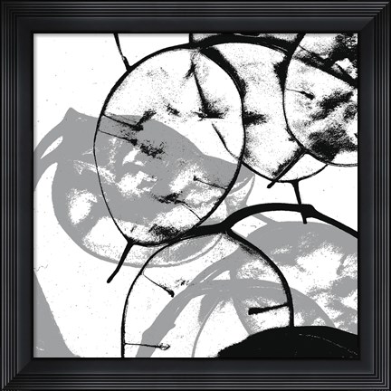 Framed Silver Dollars V Print