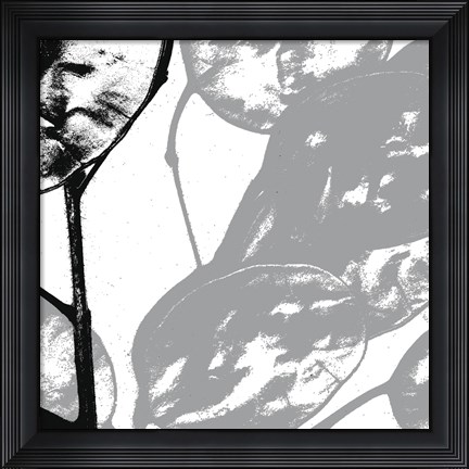 Framed Silver Dollars VI Print