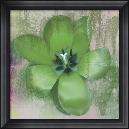 Framed Tulip Fresco (green) Print