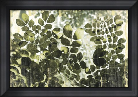 Framed Dappled Radiance Print