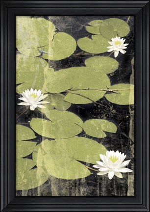 Framed Pond Blossoms Print